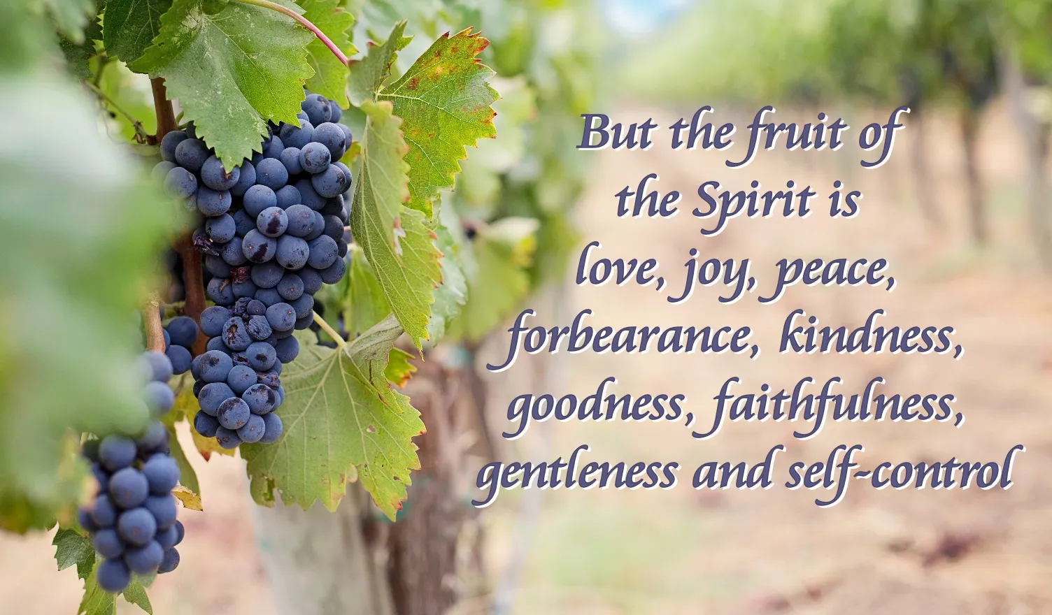 31-Fruits.webp